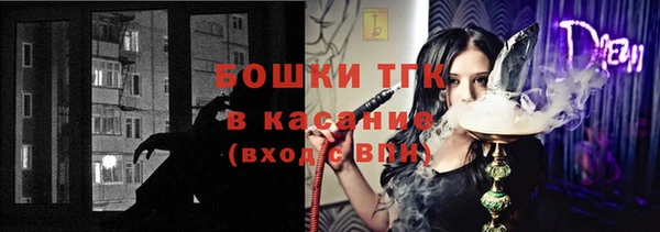 гашик Богданович