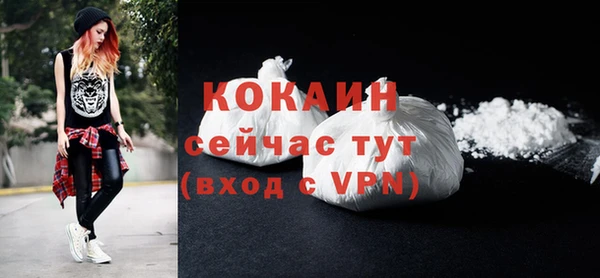 гашик Богданович