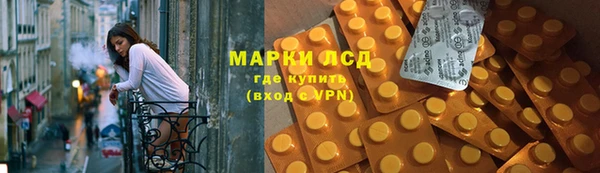 гашик Богданович