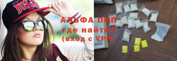 гашик Богданович