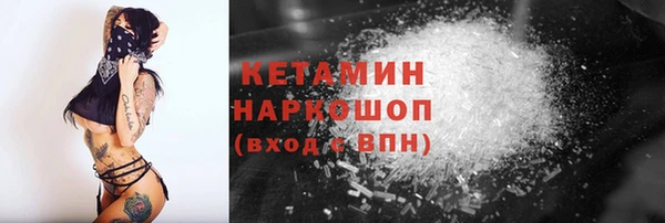 сатива Бородино