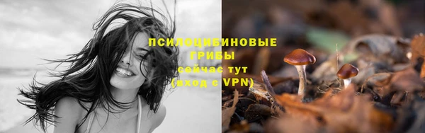 дистиллят марихуана Богородск