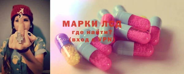 гашик Богданович