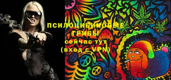 гидропоника Богородицк