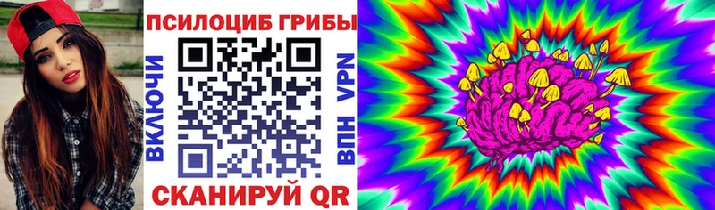 Галлюциногенные грибы прущие грибы Купить где Судогда